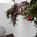 Hotel Celta