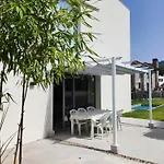Vela De Falucho