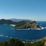 Azale Vigo
