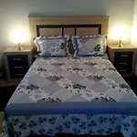 Pepe House 50