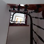 Pepe House 50