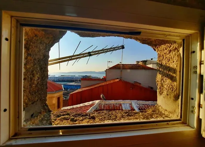 Apartamento Centrico Y Acogedor