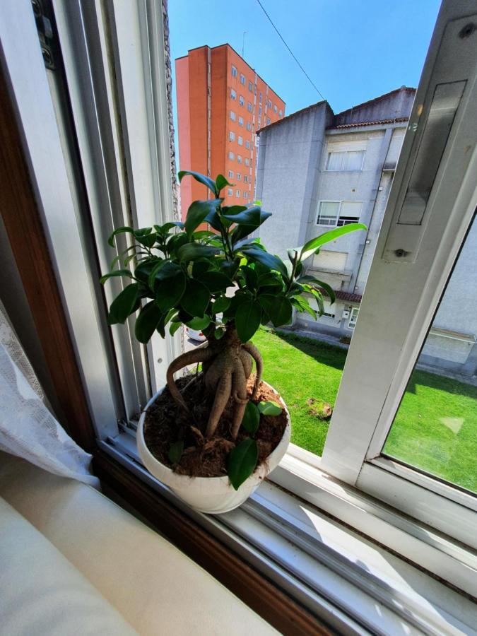 Apartamento Amigos Y Familias