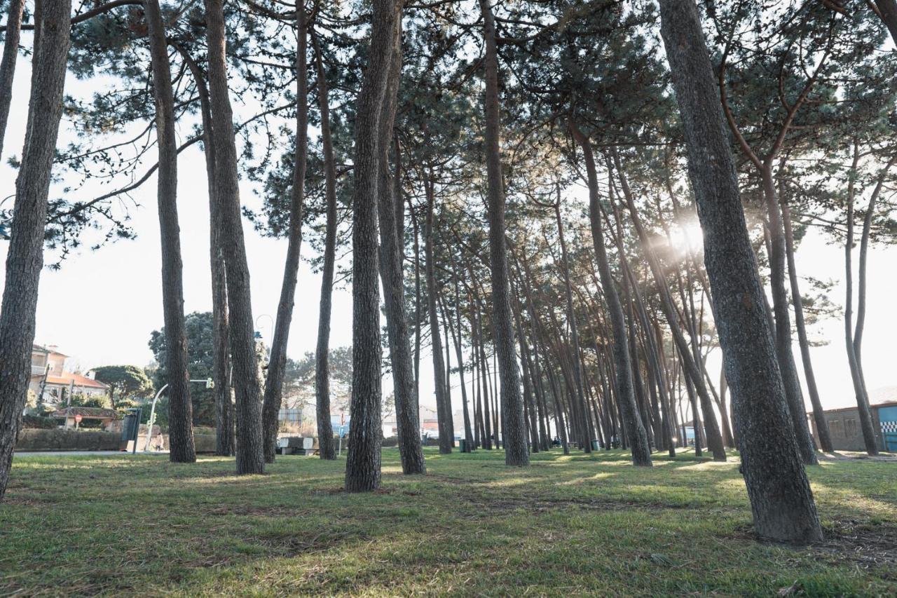 Apartment Samil Playa *