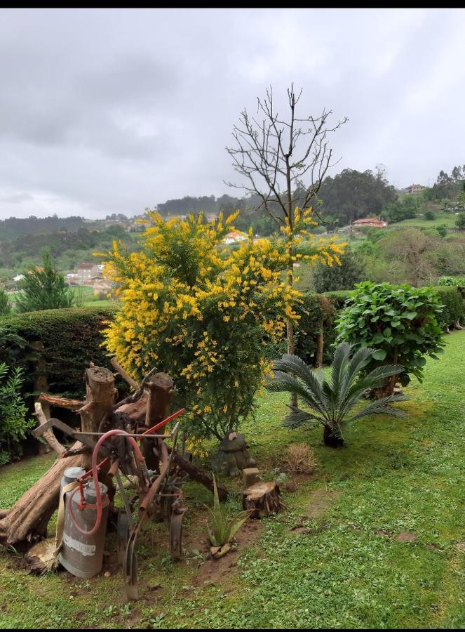 La Casa De Mariela Vigo