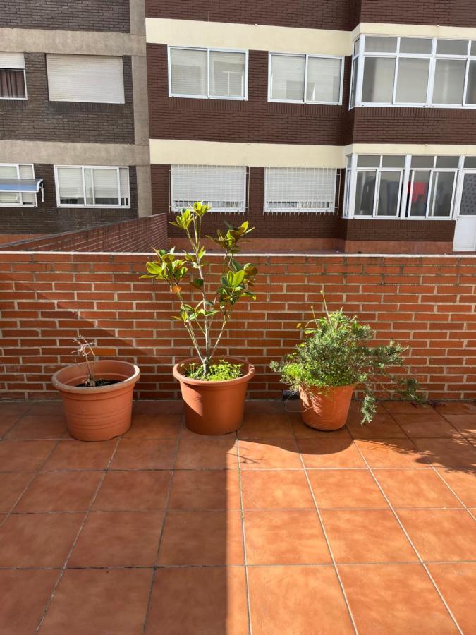 Apartment Coqueto Apartamento