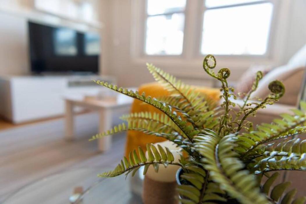 Urzaiz Centro Apartment