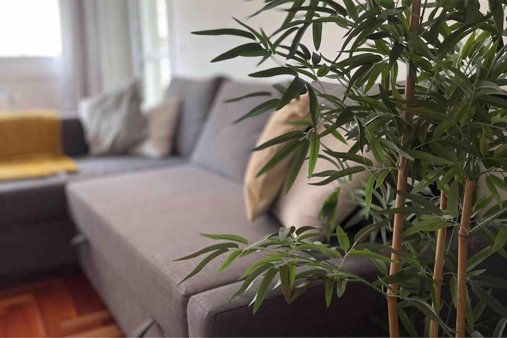Apartamento Precioso Apartamento Céntrico En Vigo