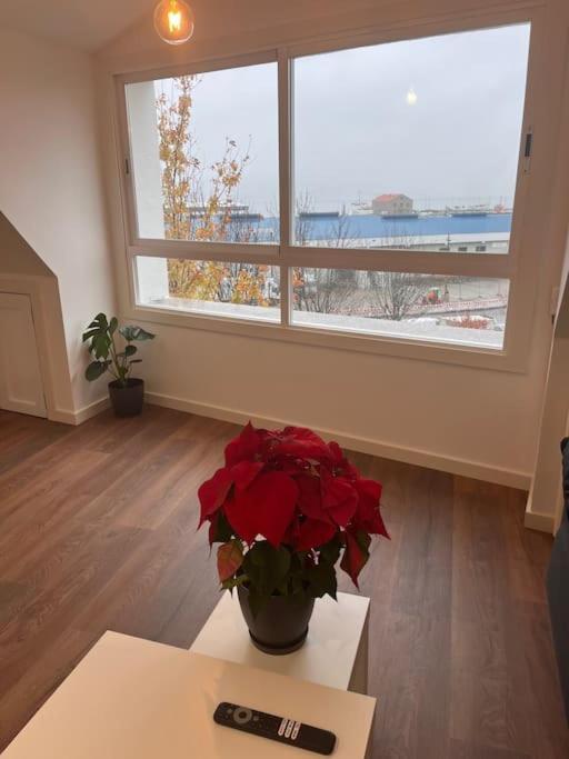 Apartamento Atico Cork *