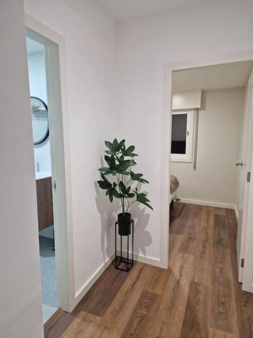 Apartamento Atico Cork