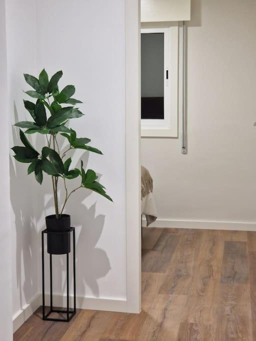 Apartamento Atico Cork Vigo