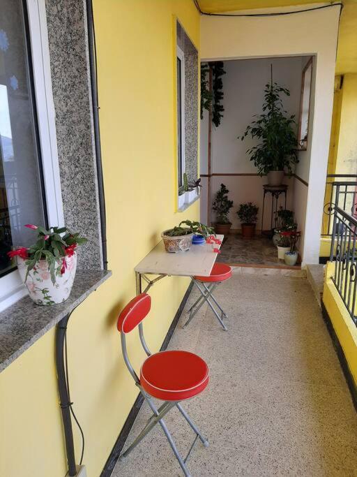 Apartamento Piso Con Preciosas Vistas De