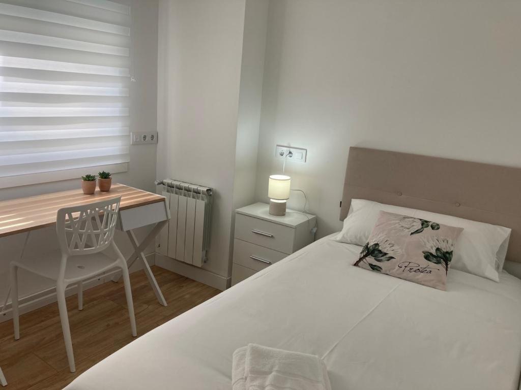 Apartamento Magnifico Piso Con Gran Terraza En Centro De