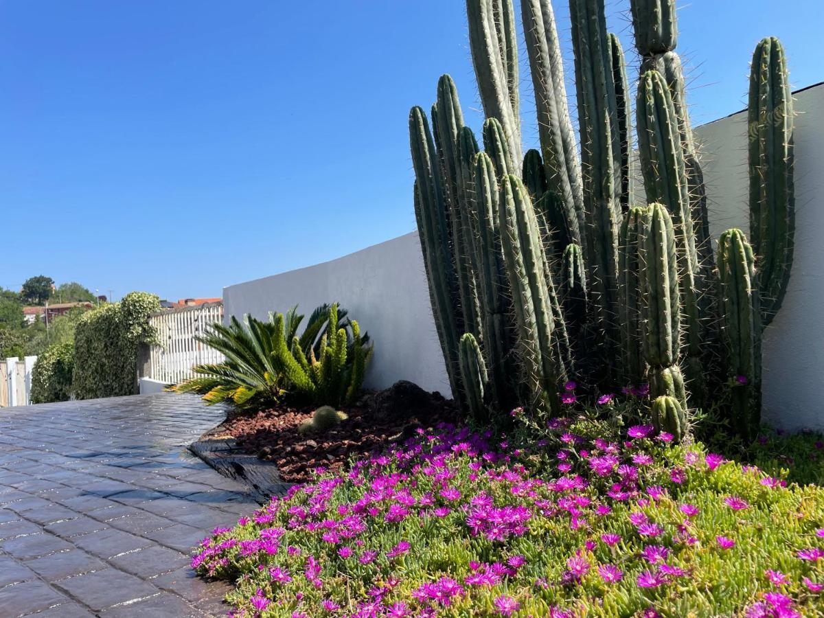 Casa De Los Cactus