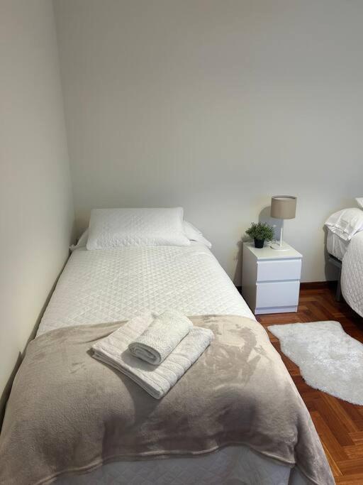 Centrico Apartamento Con Terraza Integrada Apartamento