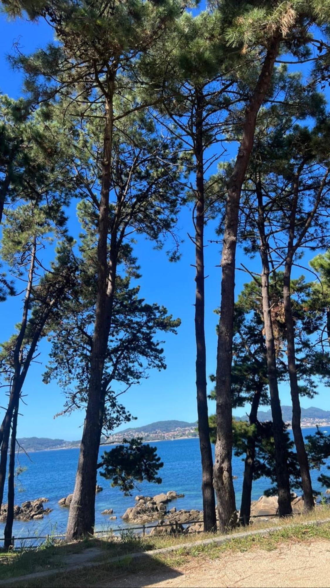 Privada En Vigo, Cerca Del Parque Castrelos, A 5min De La Playa, Compartido Habitación en casa particular Vigo