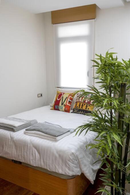 Precioso Estudio -centrico-garaje- Moderno-netflix Vigo