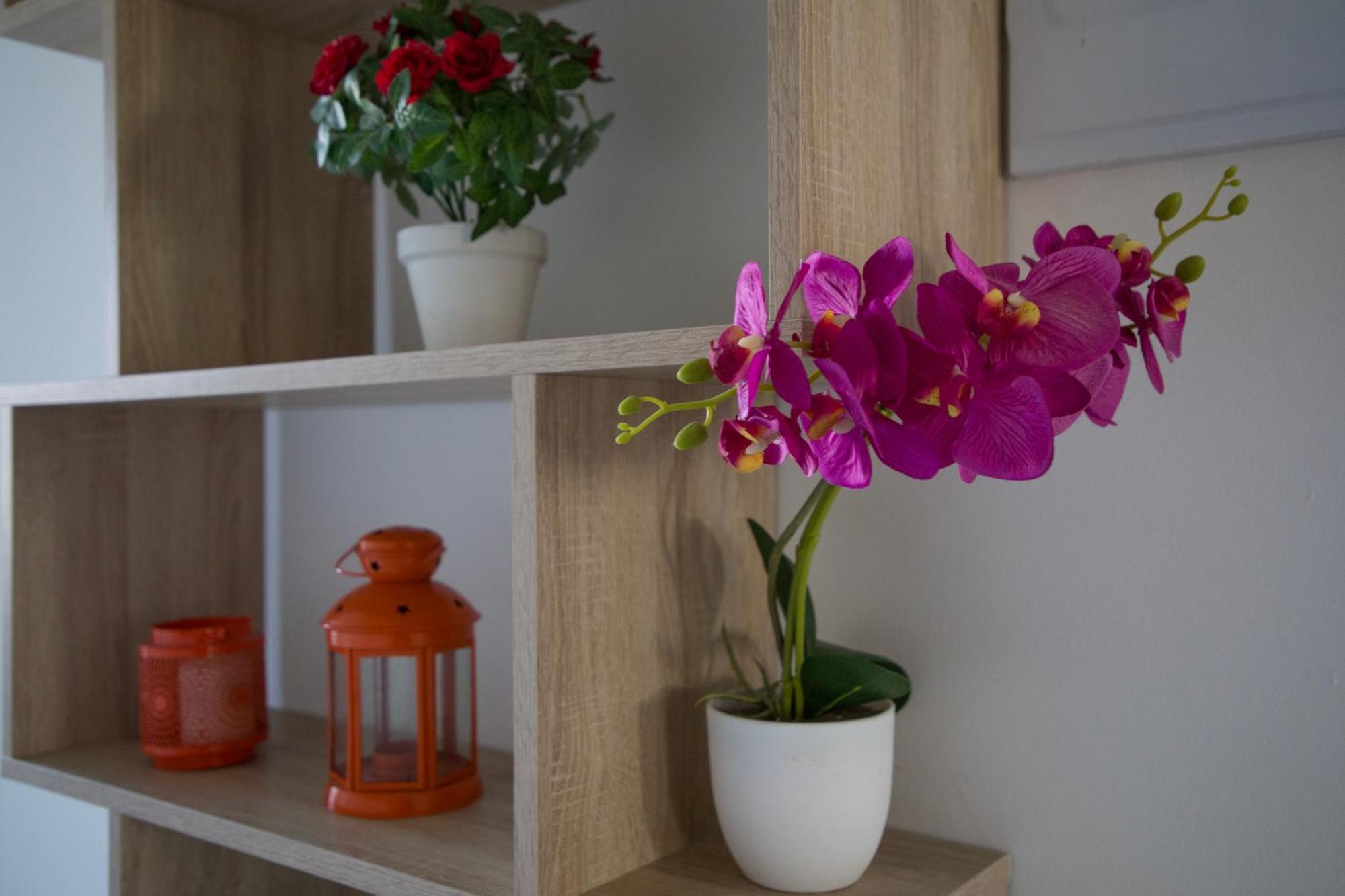 Apartamento Luxury