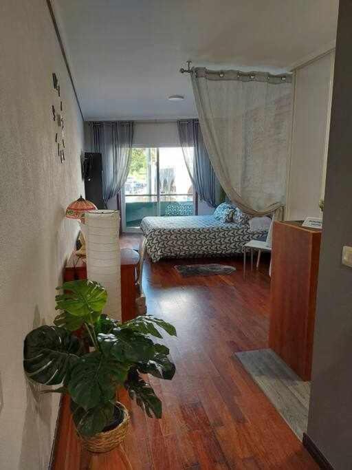 Acogedora En Vigo