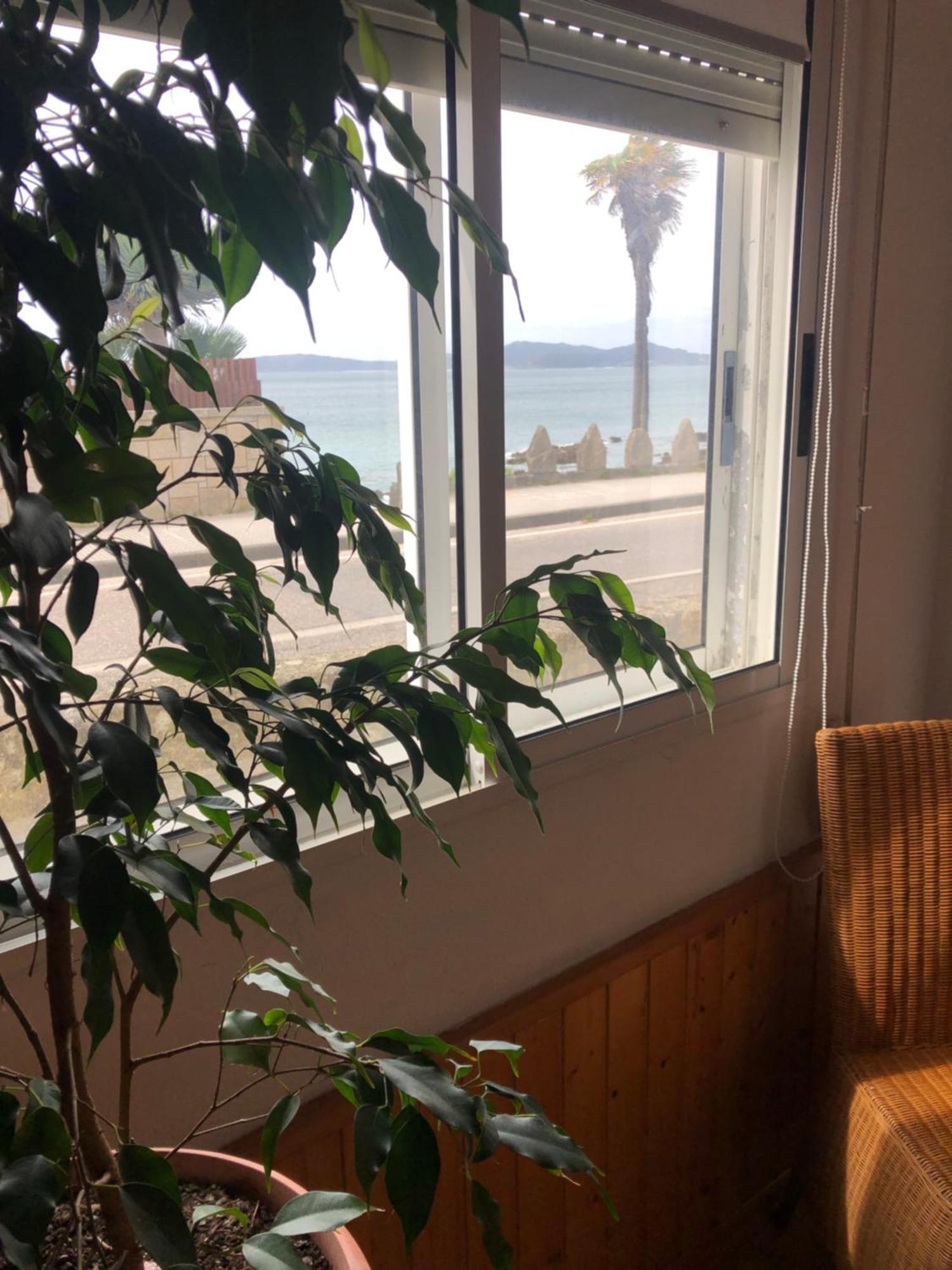 Nankurunaisa Homestay Vigo