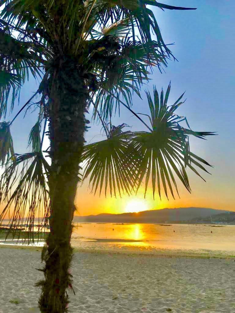 Apartamento Exclusivo A Pie De Playa