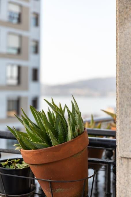 Bonito Piso Con Vistas, Centrico, Acogedor Vigo