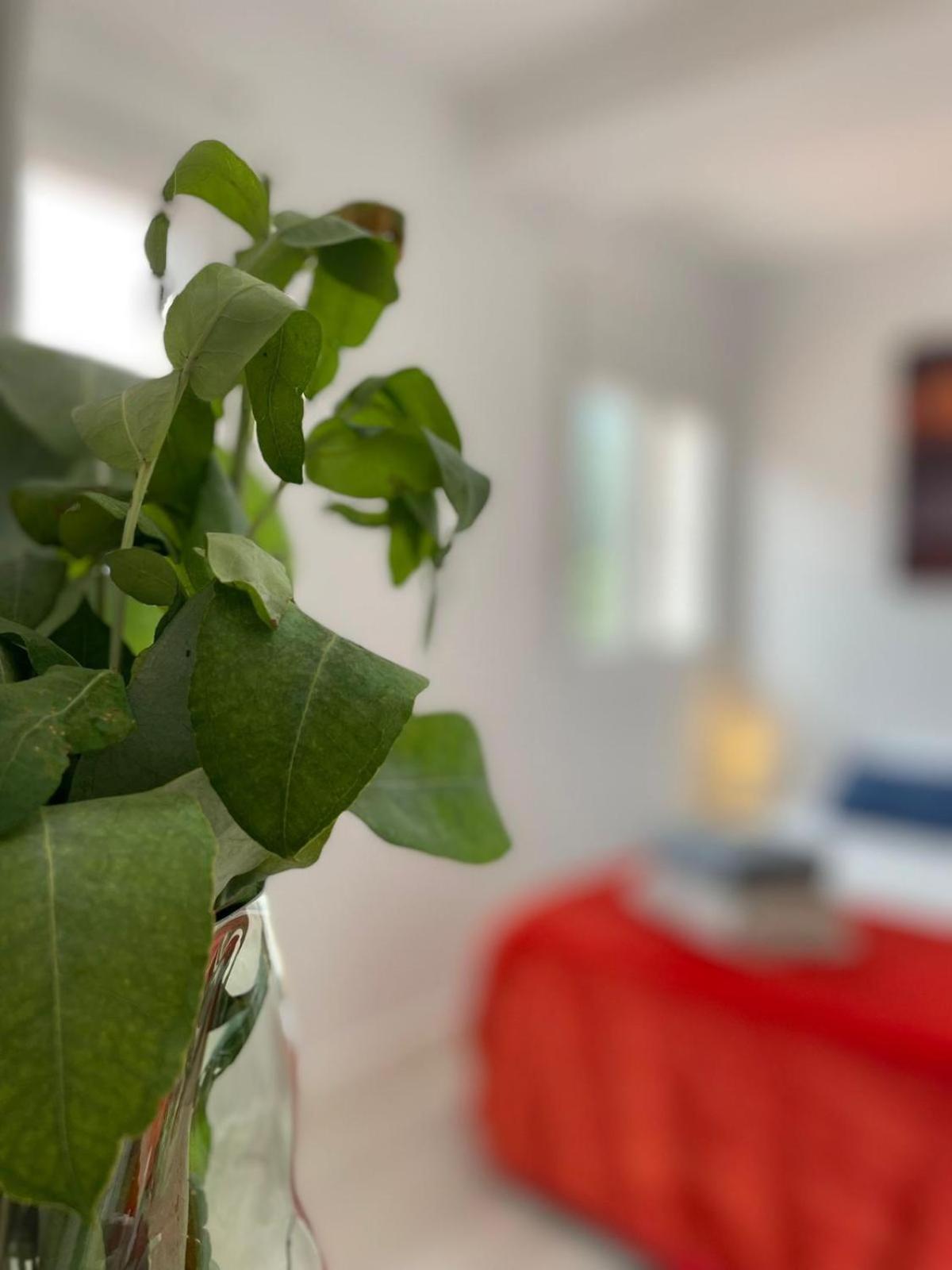 Felicidad Apartment