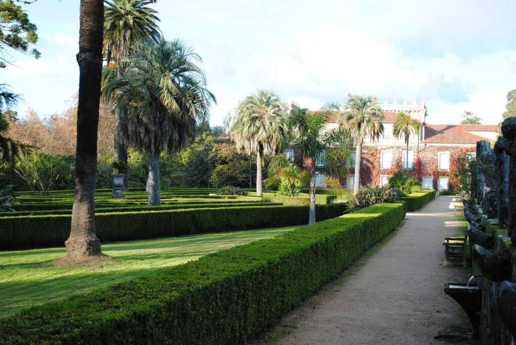 Casa Maximo En Con Patio Y Aparcamiento Сasa de vacaciones *