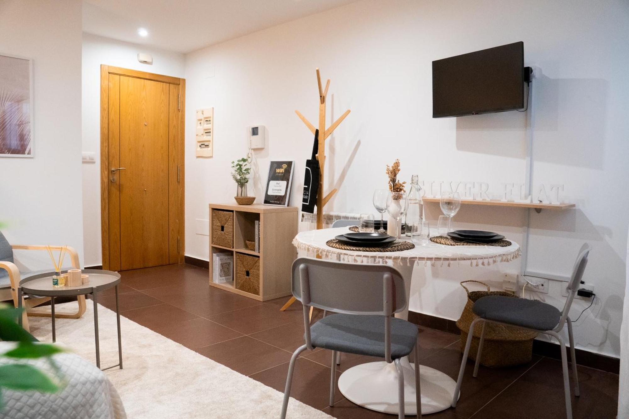 The Silver Flat Apartment