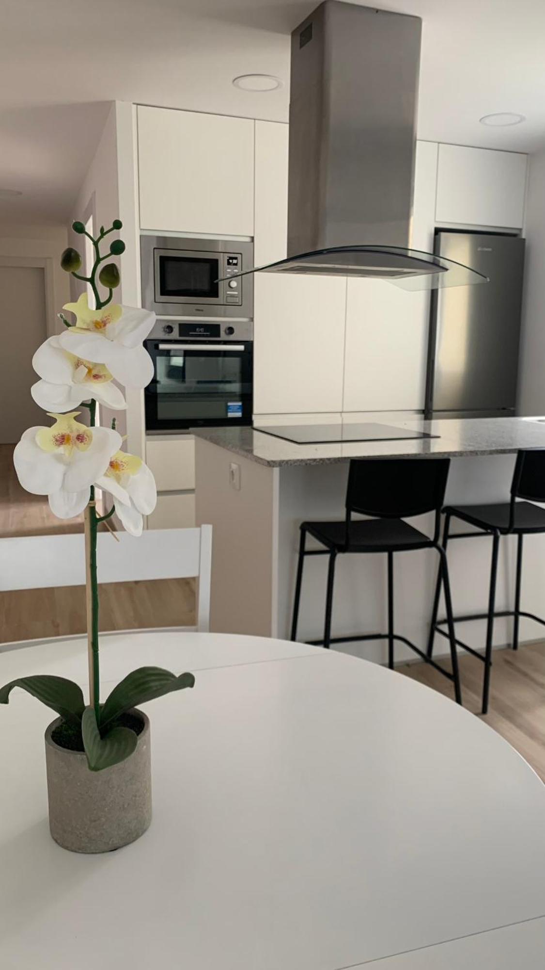 Apartamento O Lar Da Lolita *