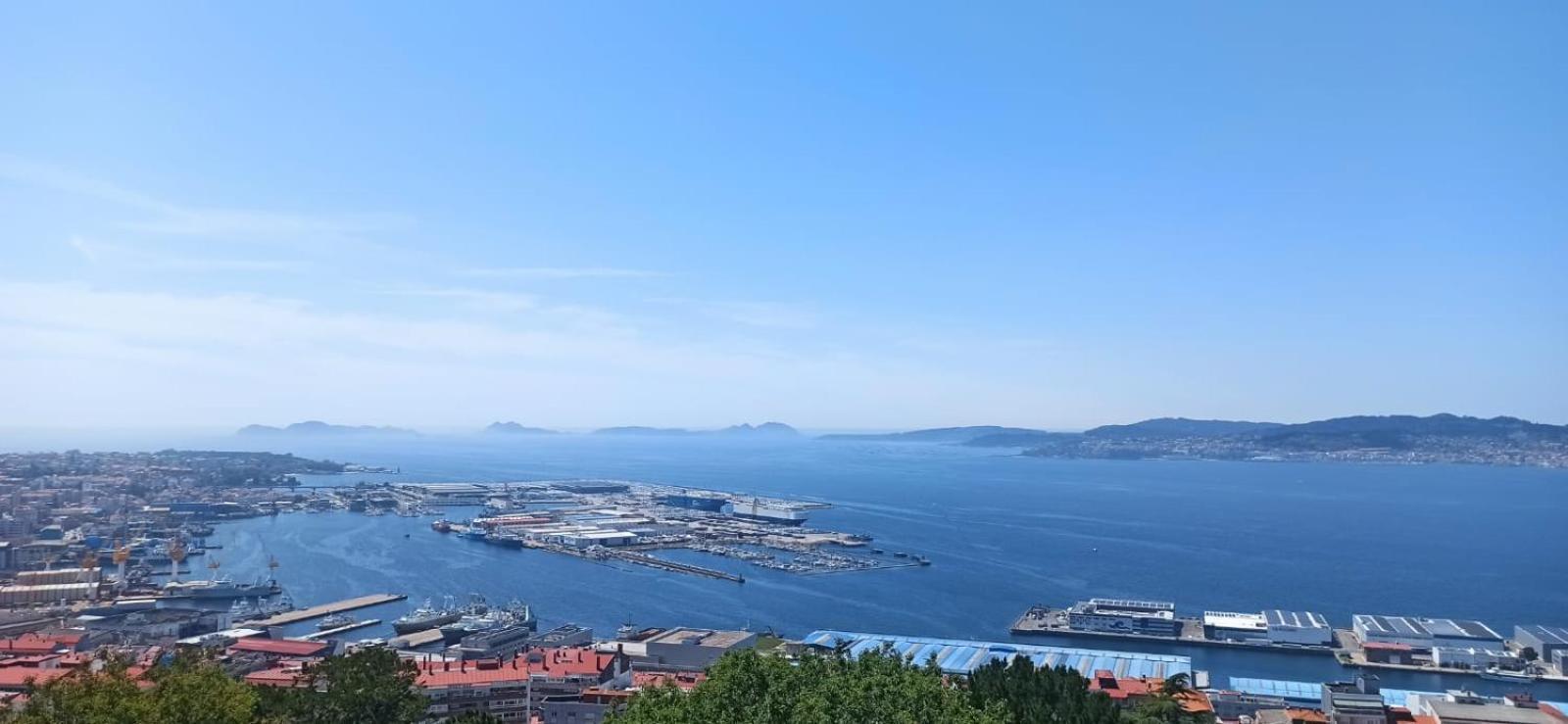 Azale Vigo