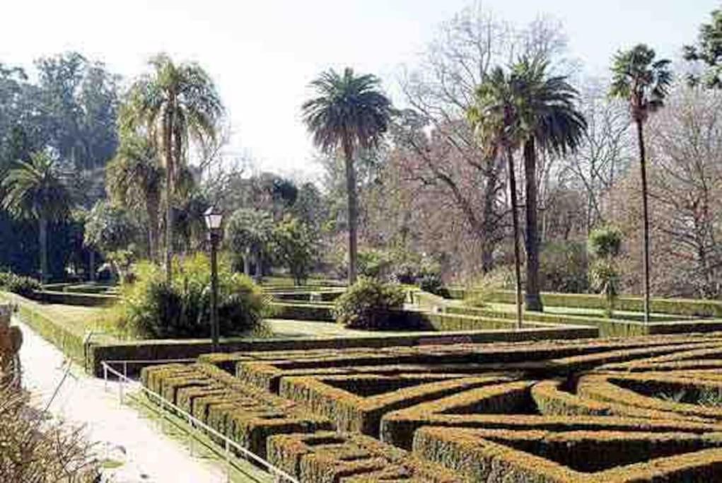 The Park!!! * Vigo