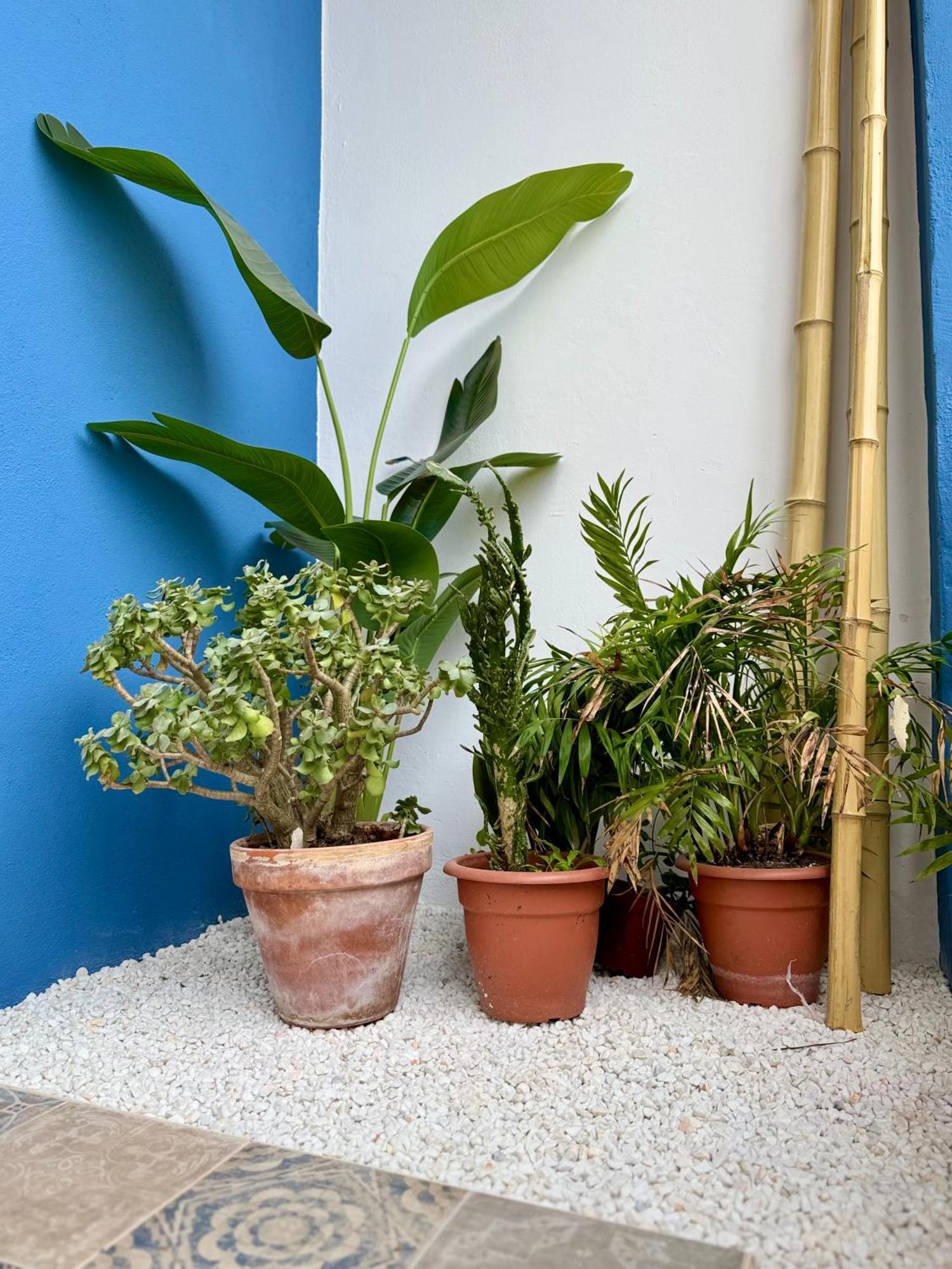 Oasis De Confort Urbano Apartamento Vigo