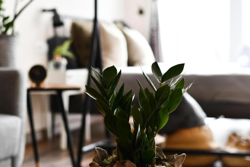 Apartamento Loft By Celta Vigo