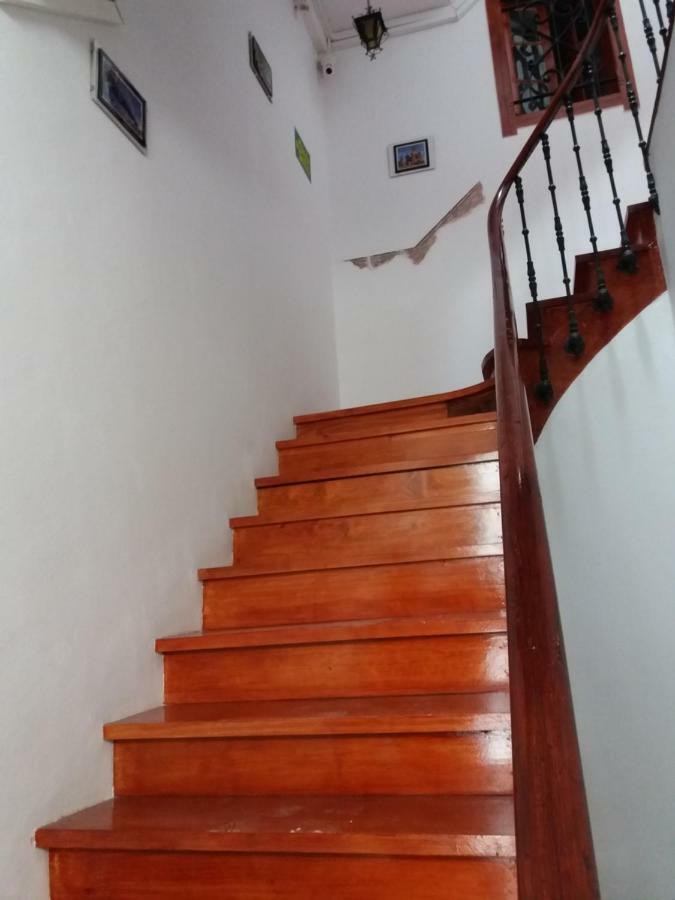 Pepe House 50