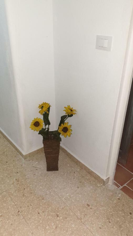 Сasa de vacaciones Samil Casa Familiar