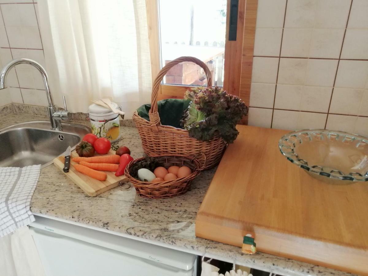 Сasa de vacaciones Casita Nekagarden *